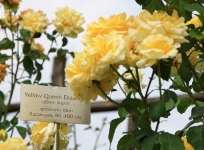 VALLEY OF ROSES - TOUR TO KAZANLUK, SHIPKA, ETARA 5